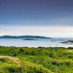 Photo du Vinland
